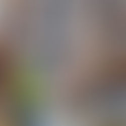 Warehouse Rack Inspections: 7 Critical Truths About What OSHA Actually Expects