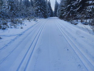 Šumavák se blíží (21.-22.2.2026)