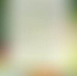 夏季休業のお知らせ
