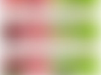 5/15 アップルパイ🍎ラインナップ