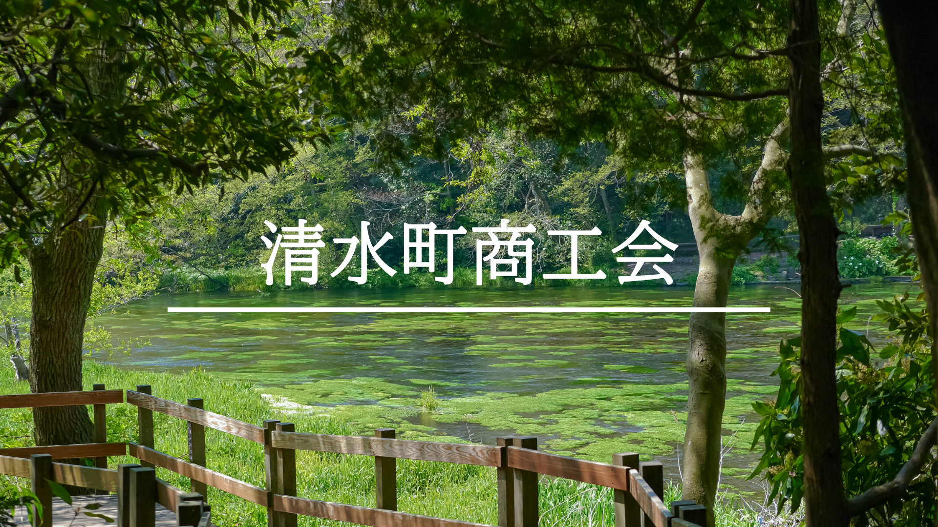 柿田川湧水サイダー”ソーダら”の写真(静岡県清水町)