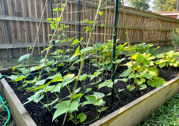 DIY Garden Watering System