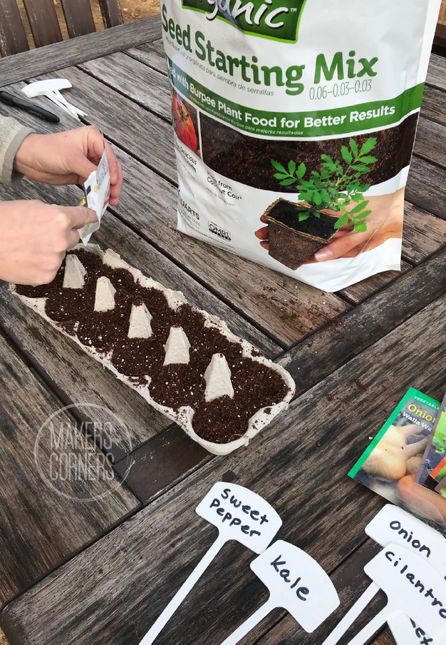 Seed Planting Guide Part 1: What Seeds to Plant in January