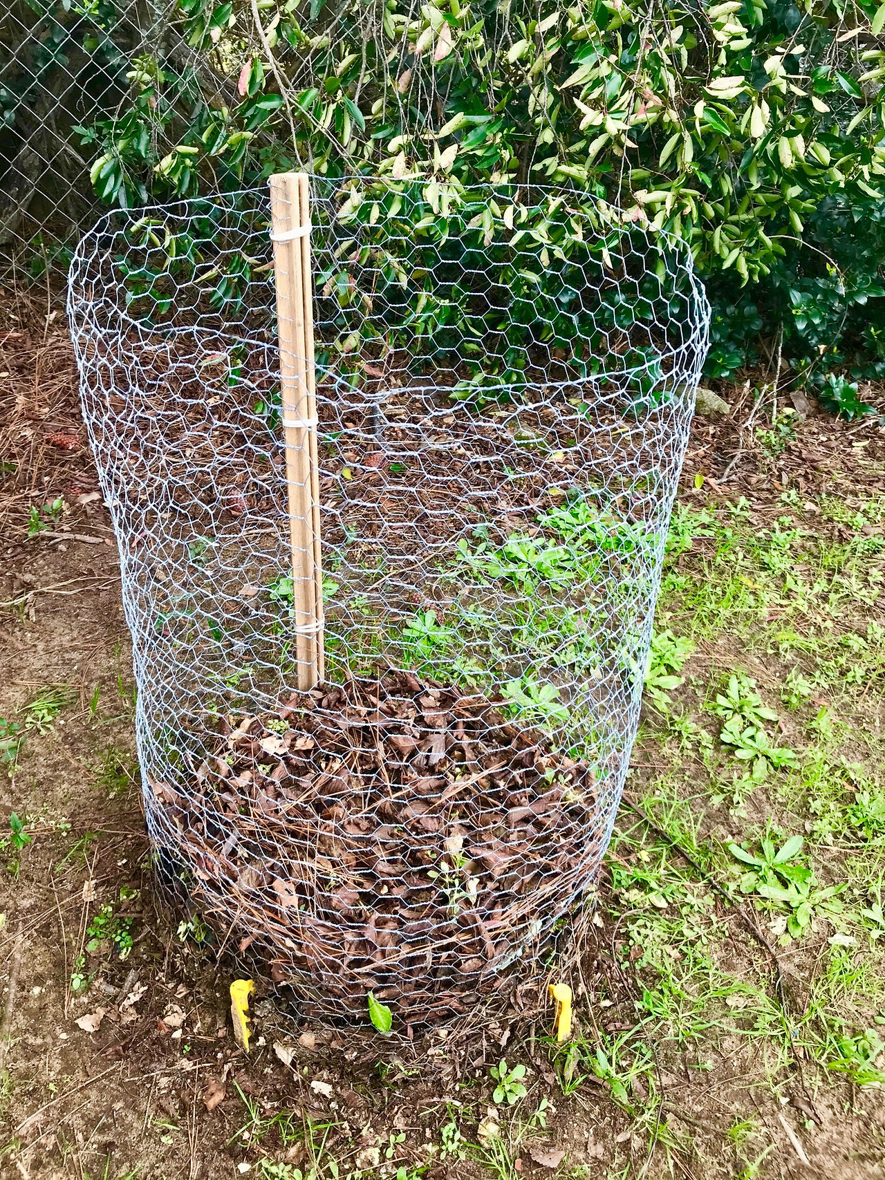 chicken-wire-compost-bin-2