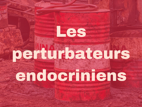 Perturbateurs endocriniens & fertilité