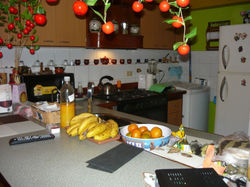 IMG-20191020-WA0055