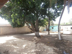 IMG-20191020-WA0078