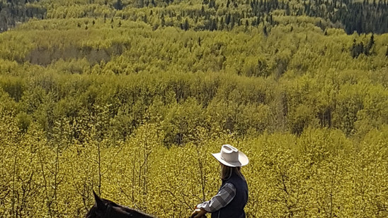Horseback riding | Homeplace Ranch | Calgary Priddis
