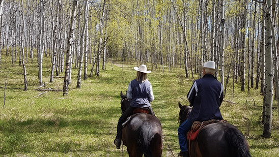 Horseback riding | Homeplace Ranch | Calgary Priddis