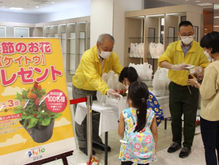 「ケイトウ」お花プレゼント イベントレポート