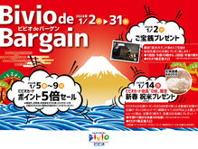 Bivio de Bargain 2024