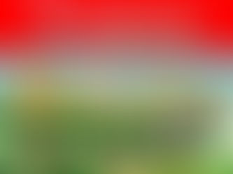 GoWest part②　西赤羽「木育イベント」木と遊ぶ2日間