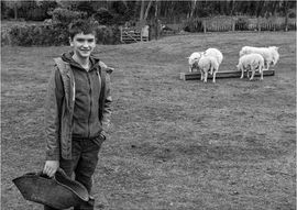 Comp 8 - 3rd - Ben and his sheep  - Gabor Horvath.jpg