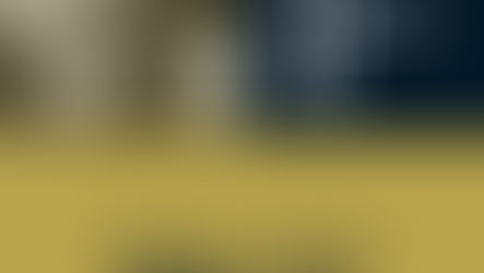 Quando é a Hora de Profissionalizar?