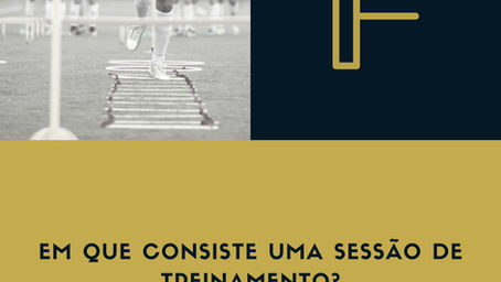 Em que Consiste uma Sessão de Treinamento?