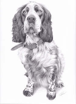 A4 Graphite Portrait