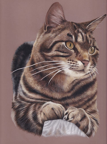 A3 Pastel Portrait