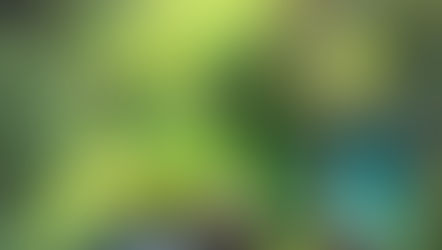 Cumulação de obrigações ambientais não é automática, reafirma  STJ