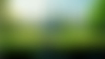 Lei Federal nº 15.300/2025 (Licenciamento Ambiental Especial - LAE): Aspectos relevantes e desafios.