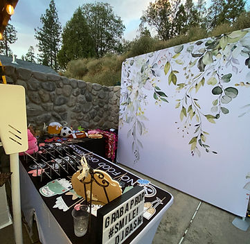 our Photo Booth backdrop at TTE