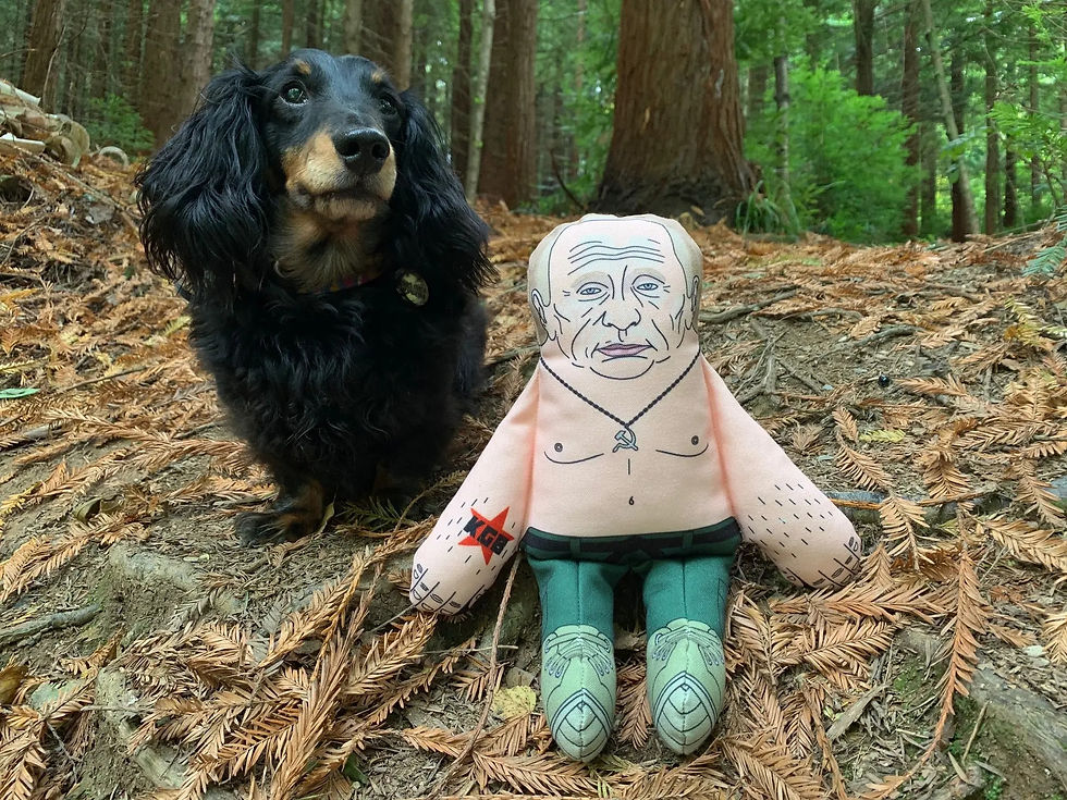 Vladimir dog toy