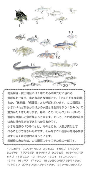 岡山の川　魚のひみつ基地　表紙ウラ