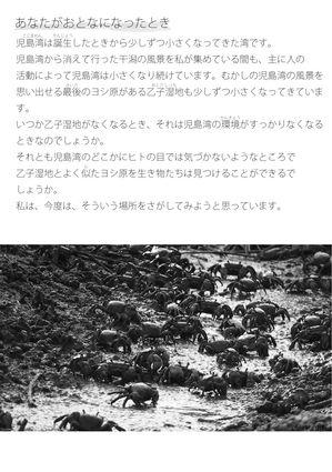 小さな児島湾の小さな湿地から p.18