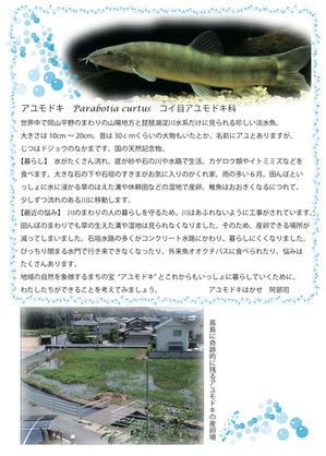 あとは入稿直前チェックです ウラ表紙