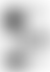 小さな児島湾の小さな湿地から p.14