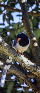 DSC_1552.JPG
