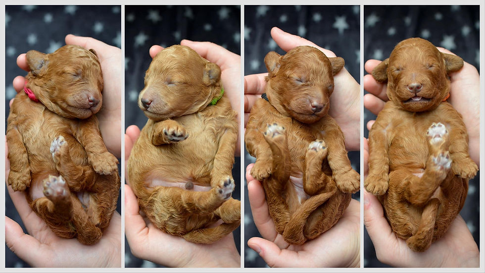 Miot "B" ma już tydzień!