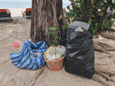 Plastic Pollution​​