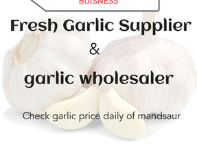 How to Start Garlic Buisness ? Check garlic price