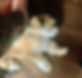 FullSizeRender (1).jpeg