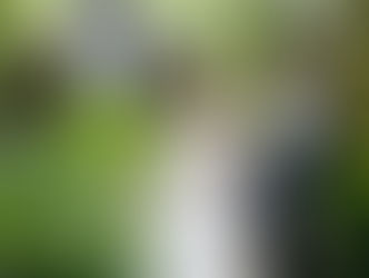 Cambridge Butterfly Conservatory Venue Spotlight