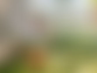 Athletes, coaches and parents aim to boost mental health in youth sports