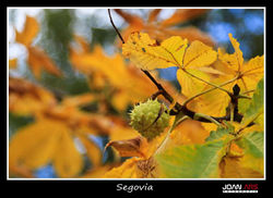 Segovia-52.jpg