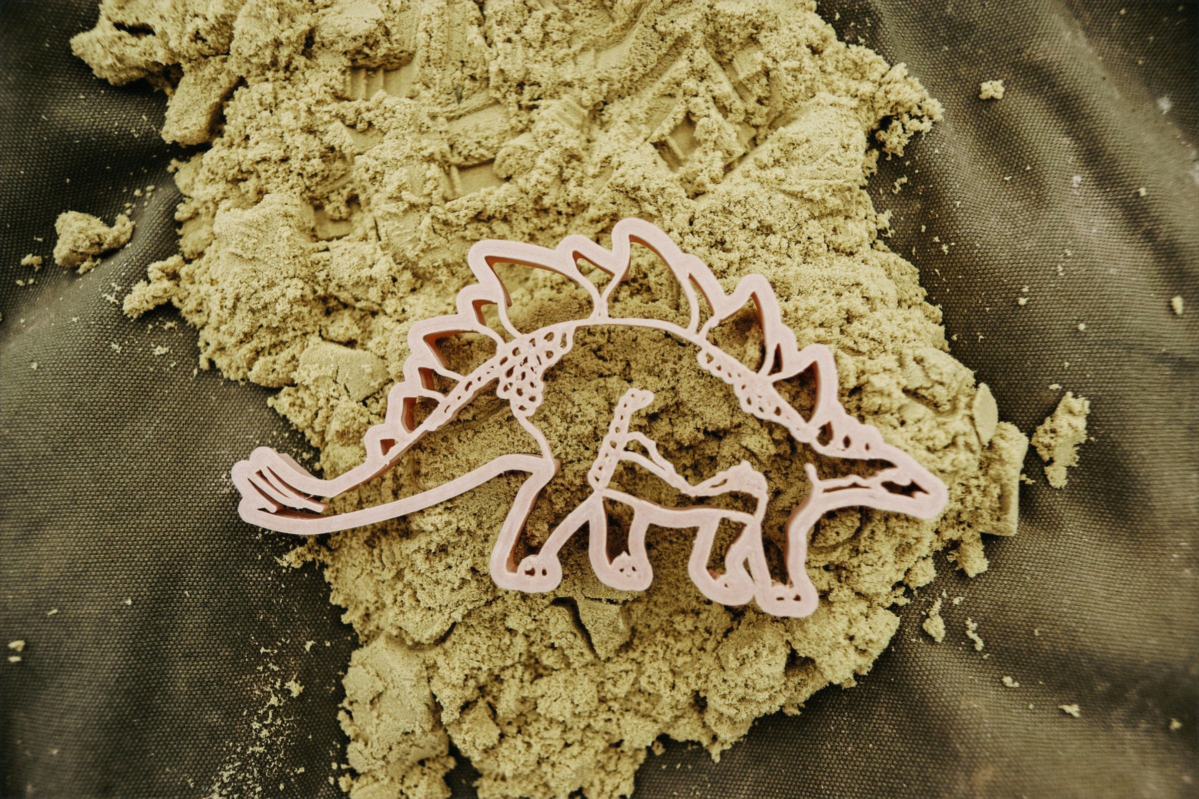 Stegosaurus Eco Cutter