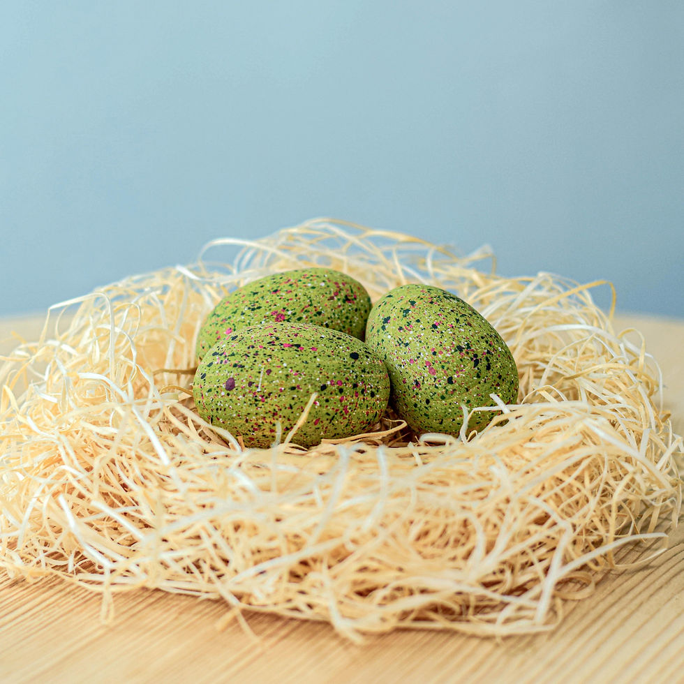 Bumbu Toys Wooden T-Rex Eggs Set. Waldorf inspired toy. Open ended, imaginative, small world play and storytelling