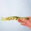 Thumbnail: Bumbu Toys Wooden Crocodile. Waldorf inspired small world toy. Open ended imaginative play and storytelling