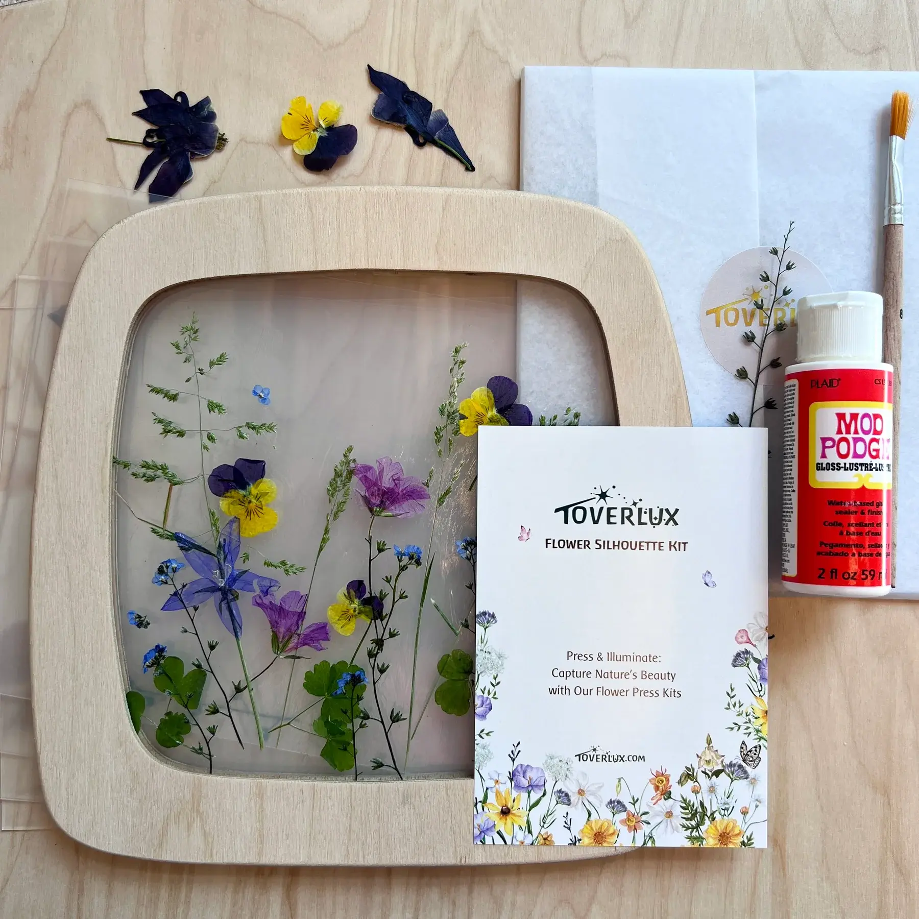 Toverlux Flower Silhouette Kit. Waldorf inspired. Storytelling. Arts and Craft for kids
