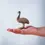 Thumbnail: Bumbu Toys Wooden Male Emu. Waldorf inspired small world toy. Open ended imaginative play and storytelling