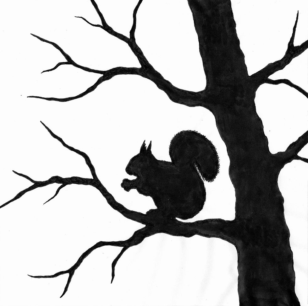 Thumbnail: Toverlux DIY Transparency Kit - Squirrel. Waldorf inspired illustrations. Storytelling. Seasonal display