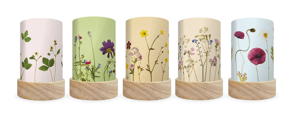 Thumbnail: Toverlux Lantern Shades - Beth Kendall - Pressed Garden set. Waldorf inspired. Storytelling. Children's playroom decor