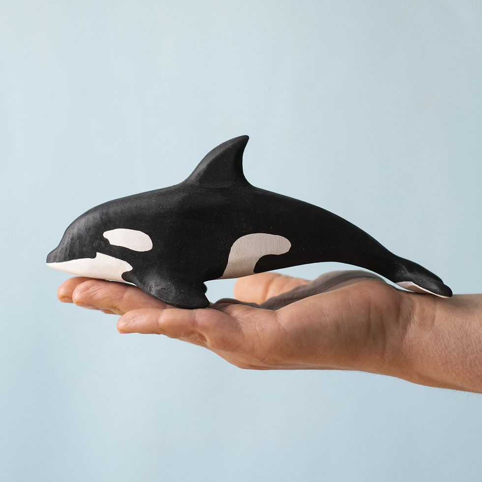 Thumbnail: Bumbu Toys Wooden Orca. Resting in an open hand to show scale and smooth finish.