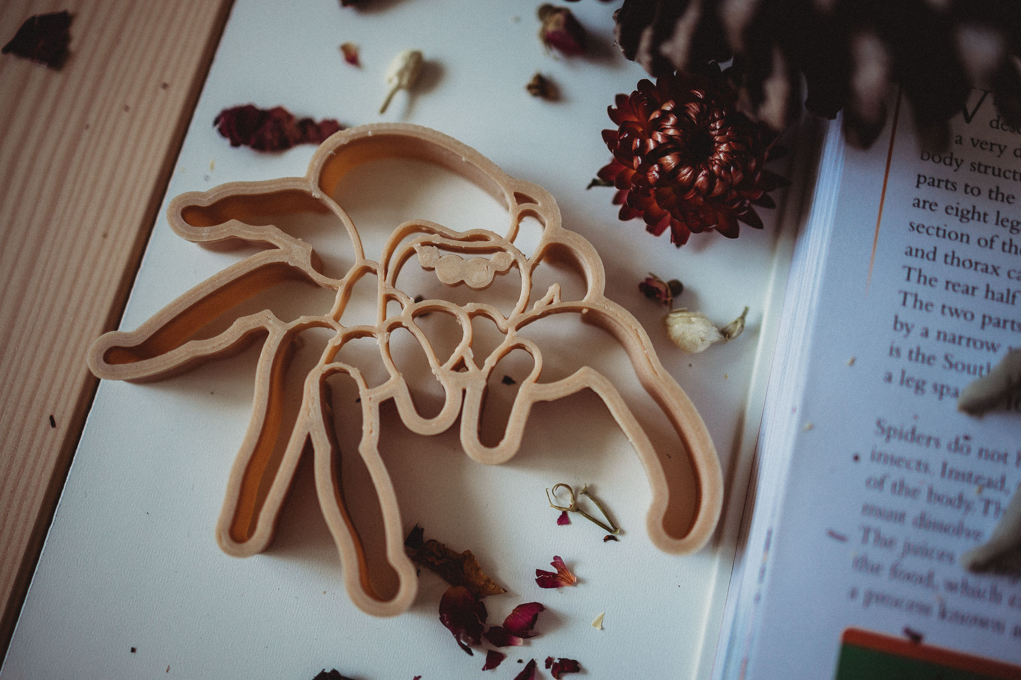 Jumping Spider Eco Cutter