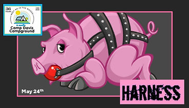 Camp Pups Harness.jpg
