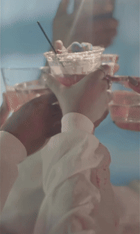 drunkenlabgif-ezgif.com-crop.gif