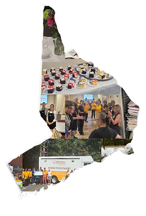 CT Shape.Collage-FULL.png