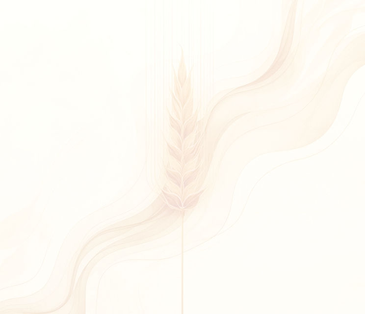 Screenshot 2026-04-10 134153_edited_edited_edited.jpg